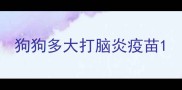 狗狗多大打脑炎疫苗
