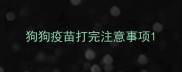狗狗疫苗打完注意事项