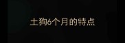 土狗6个月的特点
