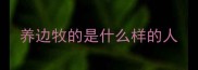 养边牧的是什么样的人