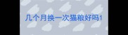 几个月换一次猫粮好吗