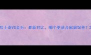 哈士奇VS金毛最新对比哪个更适合家庭饲养