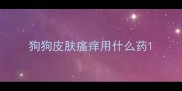 狗狗皮肤瘙痒用什么药