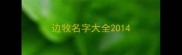边牧名字大全2014