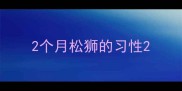 2个月松狮的习性