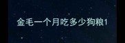 金毛一个月吃多少狗粮