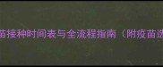 泰迪幼犬科学疫苗接种时间表与全流程指南附疫苗选择与注意事项