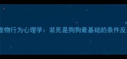 1宠物行为心理学装死是狗狗最基础的条件反射训练
