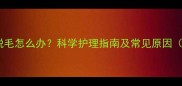 金毛幼犬爪子脱毛怎么办科学护理指南及常见原因附解决方案