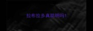 拉布拉多真聪明吗