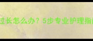 拉布拉多耳朵毛过长怎么办5步专业护理指南解决耳部困扰