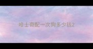 哈士奇配一次狗多少钱