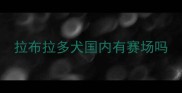 拉布拉多犬国内有赛场吗