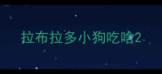 拉布拉多小狗吃啥