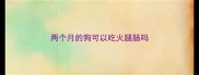 两个月的狗可以吃火腿肠吗