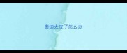 泰迪太皮了怎么办