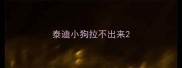 泰迪小狗拉不出来