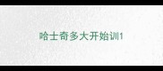 哈士奇多大开始训