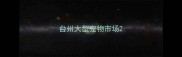 台州大型宠物市场