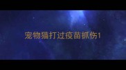 宠物猫打过疫苗抓伤