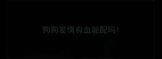 狗狗发情有血能配吗