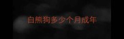 白熊狗多少个月成年