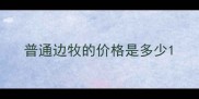 普通边牧的价格是多少