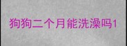 狗狗二个月能洗澡吗