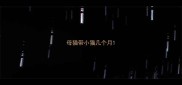 母猫带小猫几个月