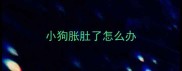 小狗胀肚了怎么办