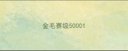金毛赛级5000