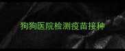 狗狗医院检测疫苗接种