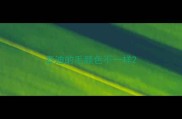 泰迪的毛颜色不一样