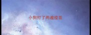小狗打了两遍疫苗