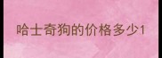 哈士奇狗的价格多少