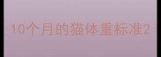 10个月的猫体重标准