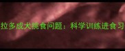 如何纠正拉布拉多成犬挑食问题科学训练进食习惯的实用指南
