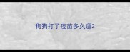 狗狗打了疫苗多久遛