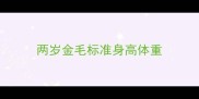 两岁金毛标准身高体重