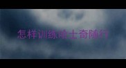 怎样训练哈士奇随行