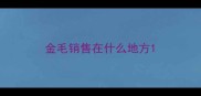 金毛销售在什么地方