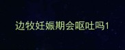 边牧妊娠期会呕吐吗