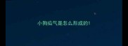 小狗疝气是怎么形成的