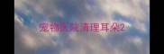 宠物医院清理耳朵