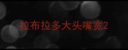 拉布拉多大头嘴宽