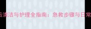 猫咪受伤后清洁与护理全指南急救步骤与日常注意事项