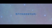 狗不打抗体疫苗可以吗