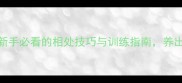 哈士奇饲养全攻略新手必看的相处技巧与训练指南养出健康活泼的毛孩子