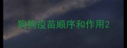 狗狗疫苗顺序和作用