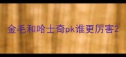 金毛和哈士奇pk谁更厉害